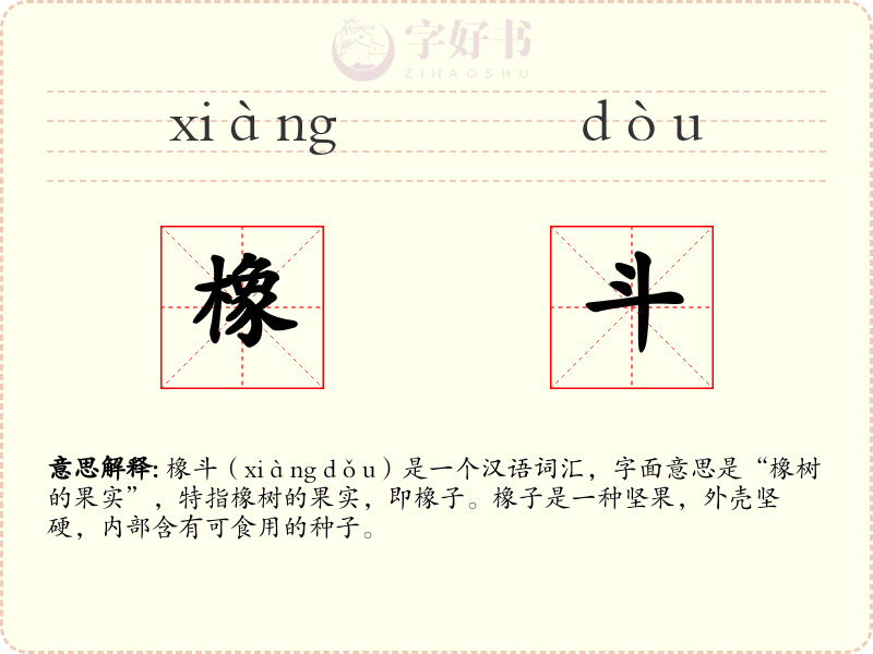 橡斗