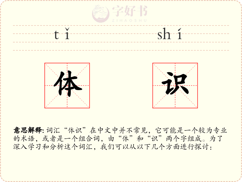 体识