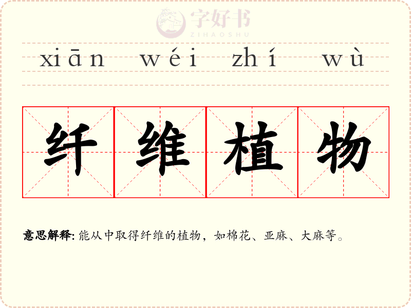 纤维植物