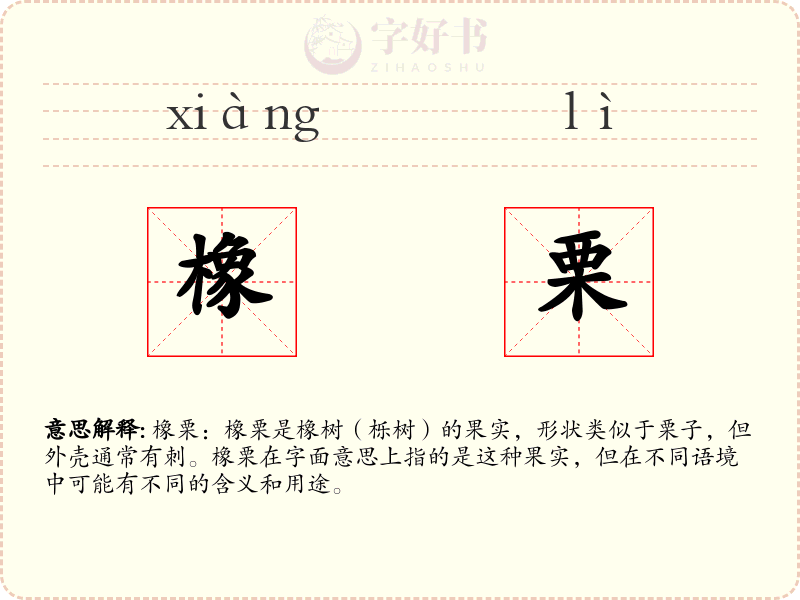 橡栗