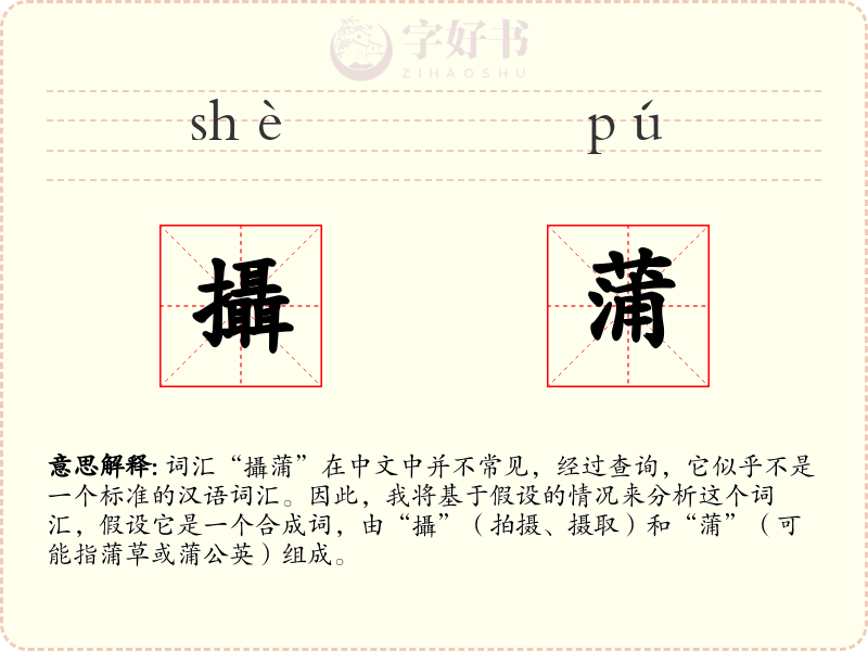 攝蒲
