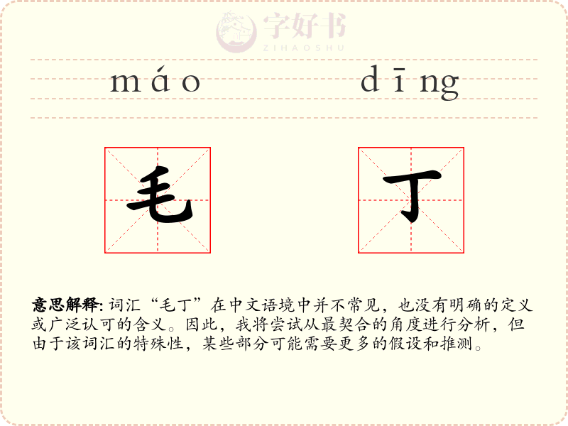 毛丁