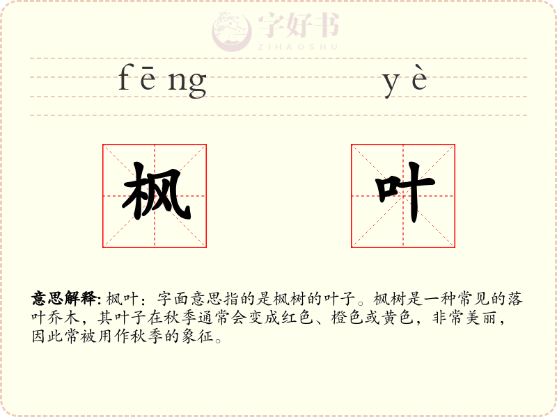 枫叶