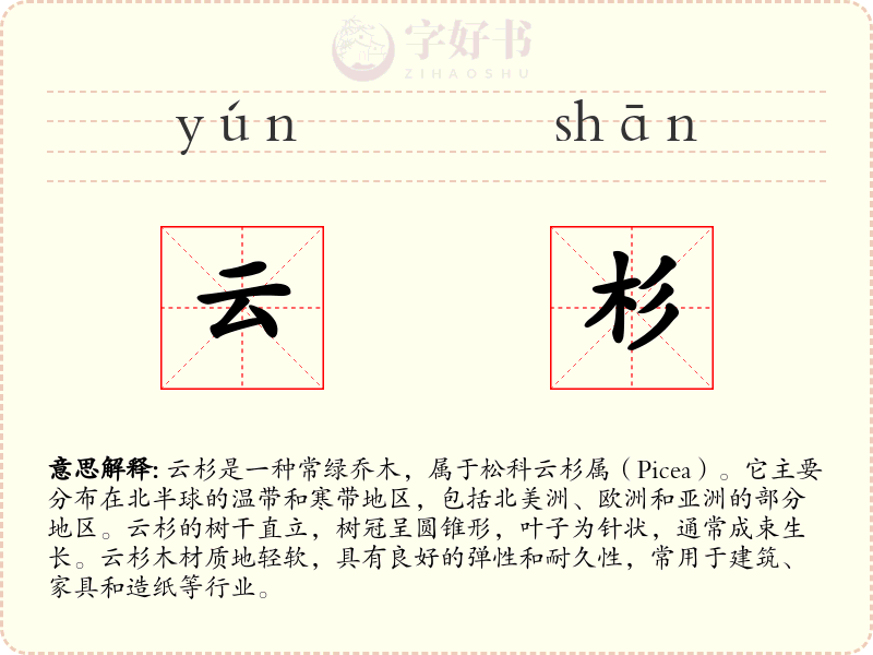 云杉