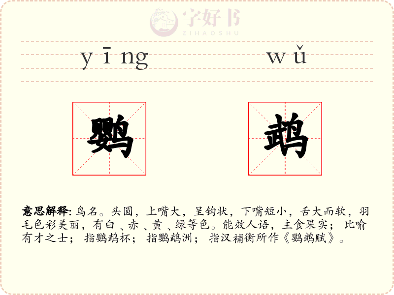 鹦鹉