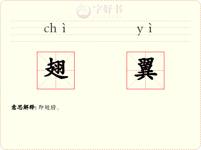 翅翼