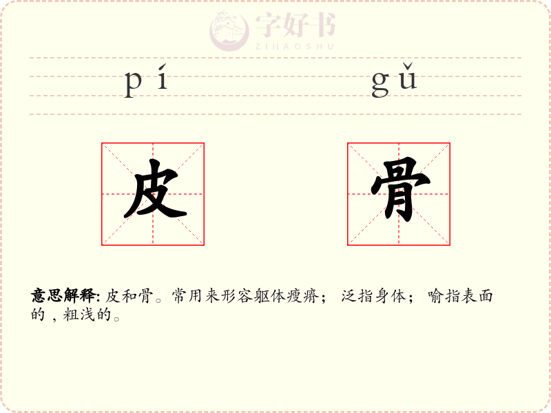 皮骨