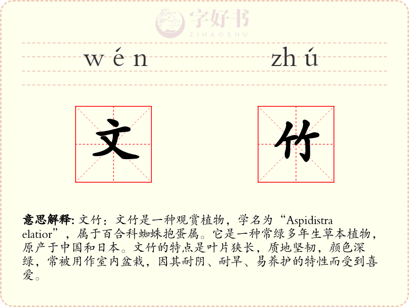 文竹