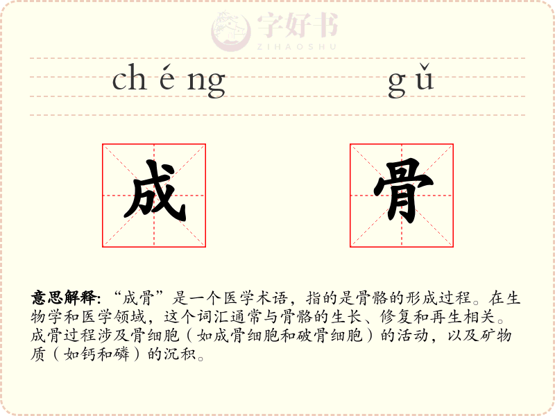 成骨