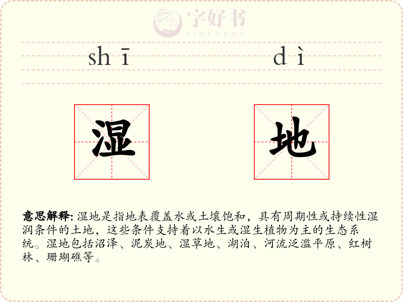 湿地