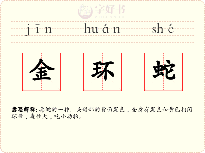 金环蛇