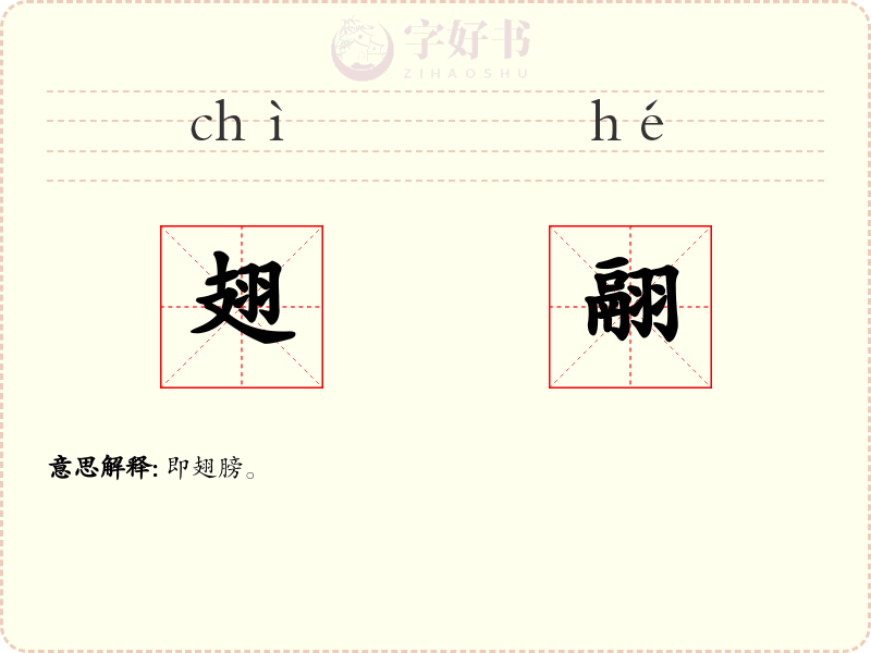 翅翮