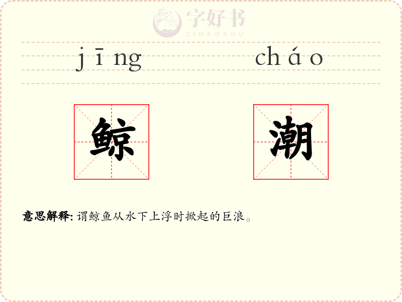 鲸潮