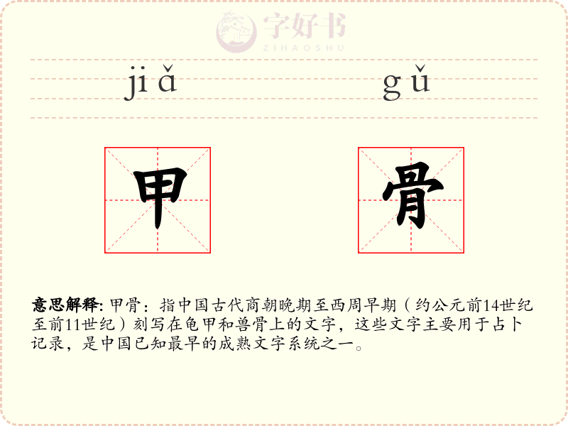 甲骨