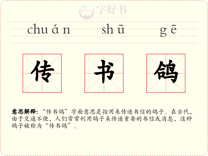 传书鸽