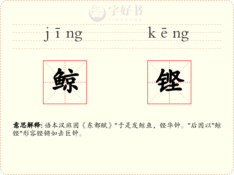 鲸铿