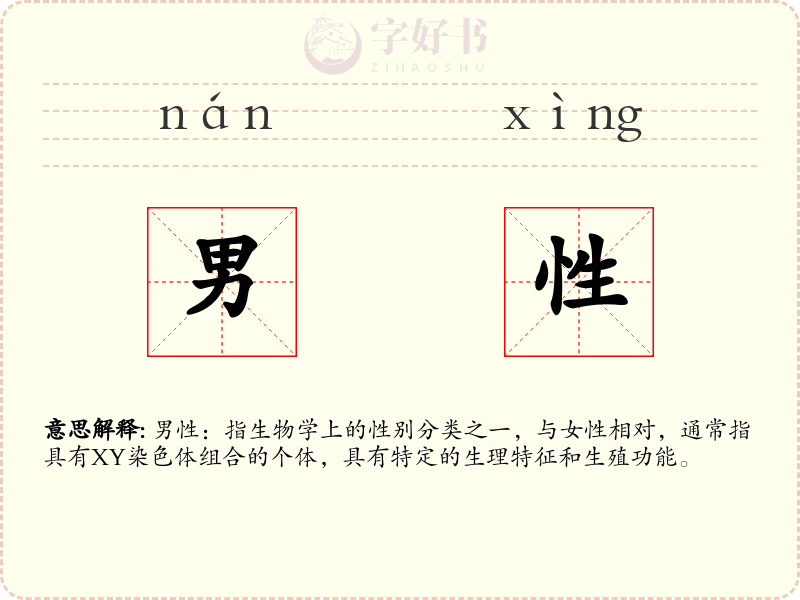 男性