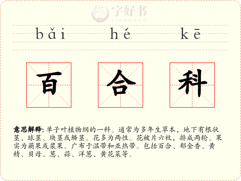 百合科