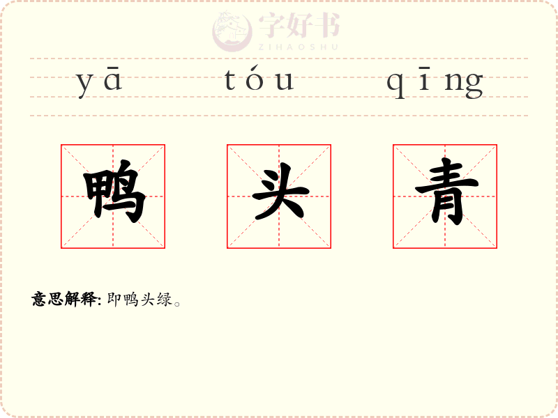 鸭头青