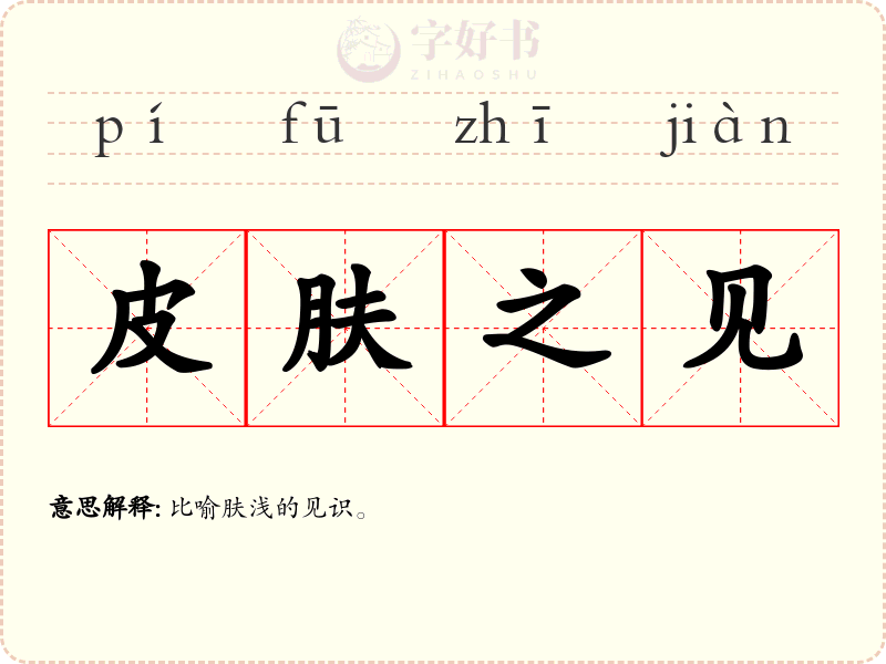 皮肤之见