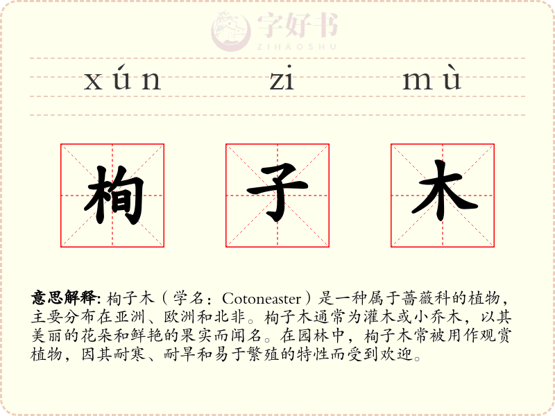 栒子木