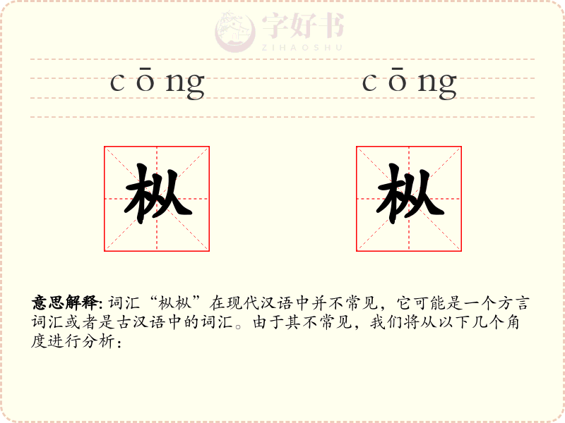 枞枞