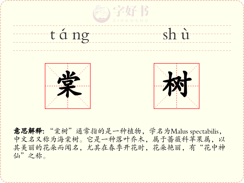 棠树