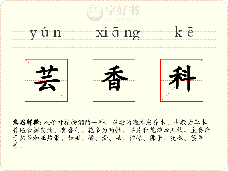 芸香科