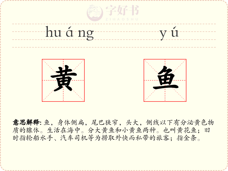 黄鱼