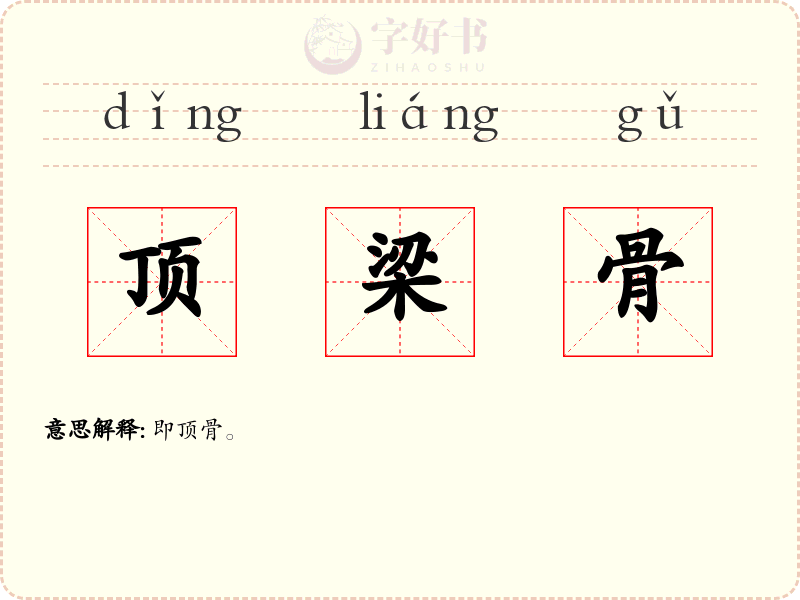 顶梁骨