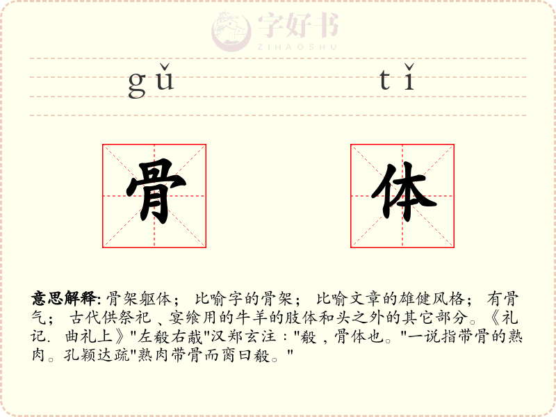 骨体