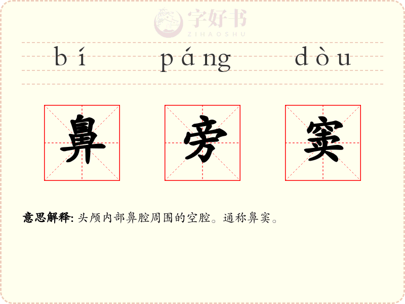鼻旁窦