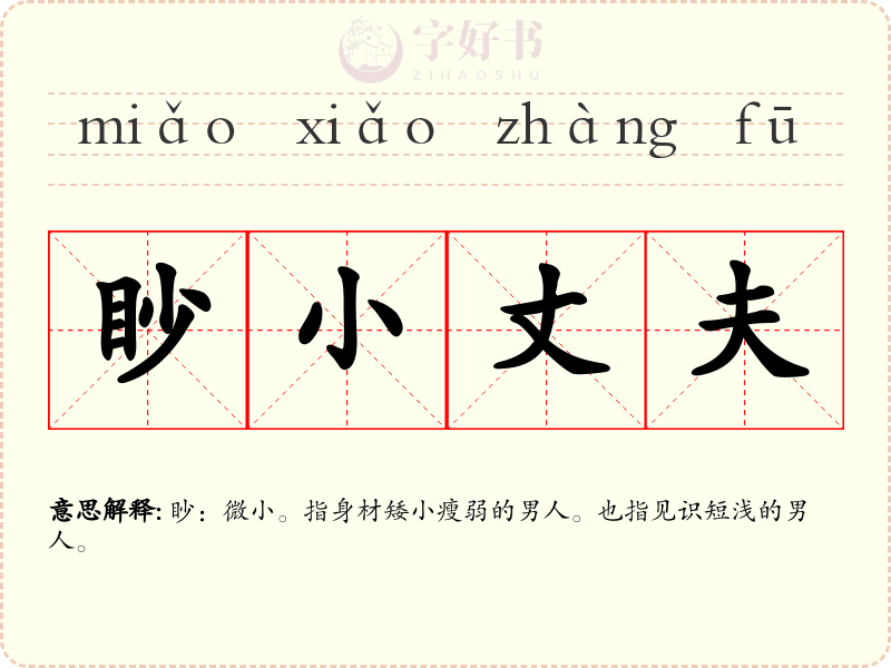 眇小丈夫