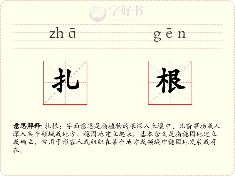 扎根