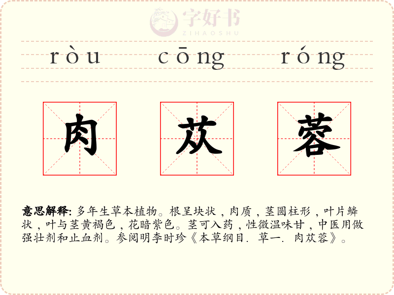 肉苁蓉