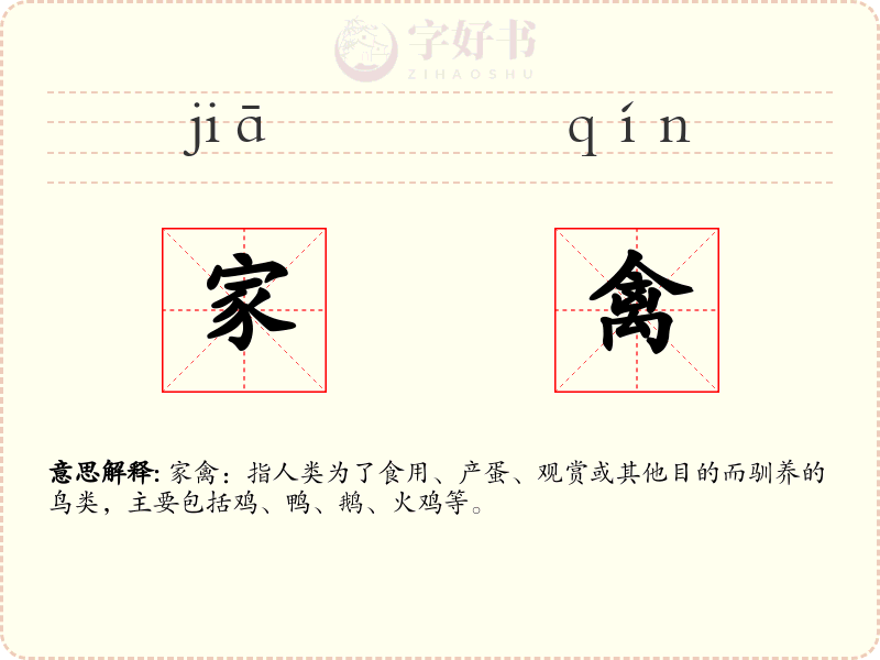 家禽