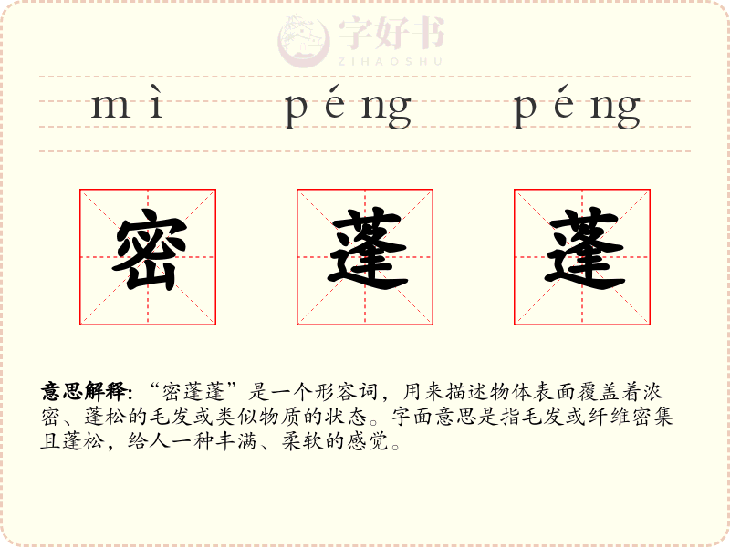 密蓬蓬