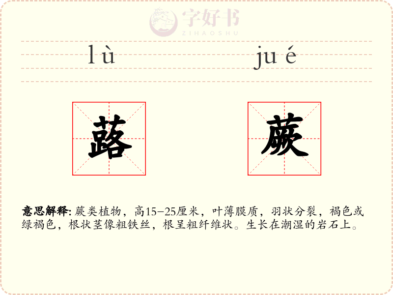 蕗蕨