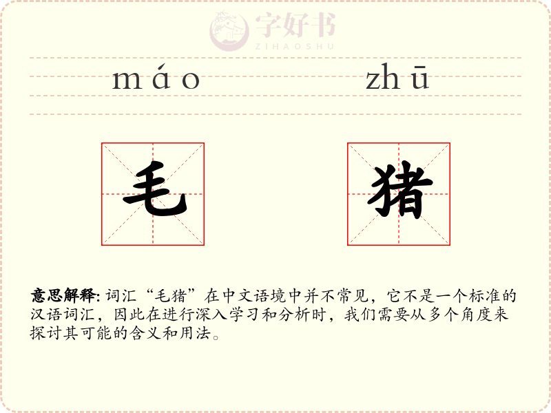毛猪
