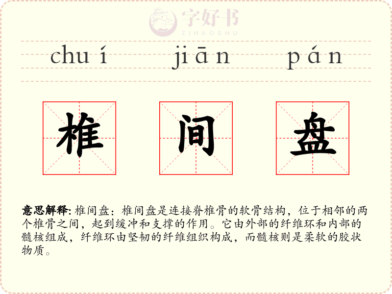 椎间盘