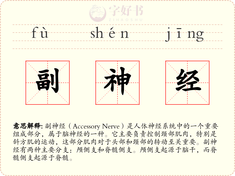 副神经