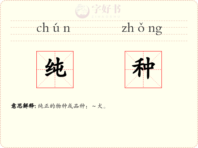 纯种