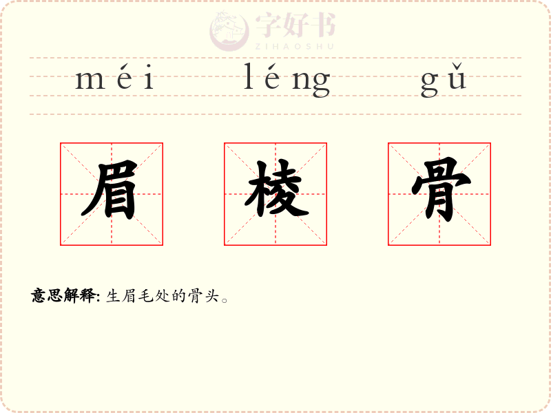 眉棱骨