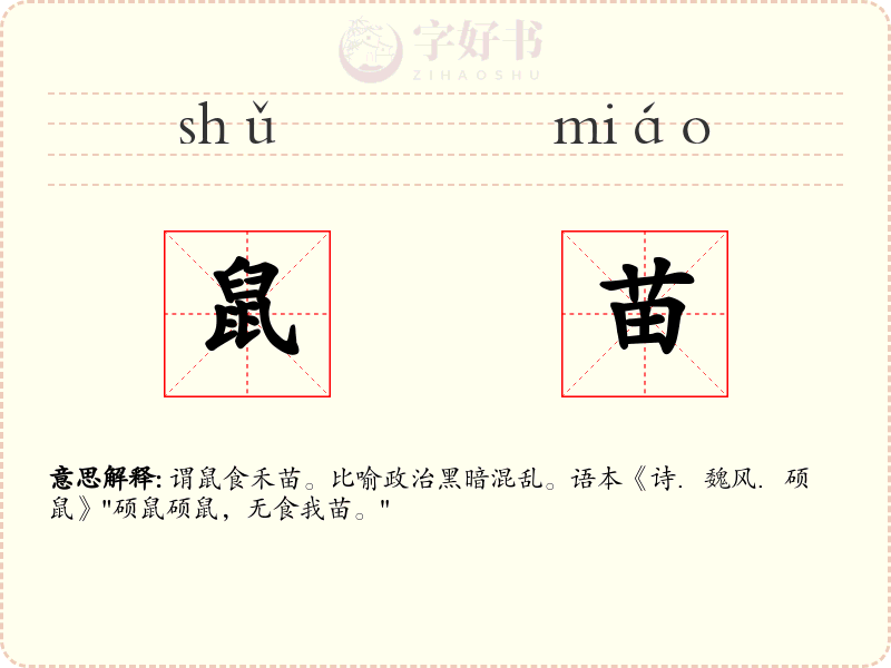 鼠苗