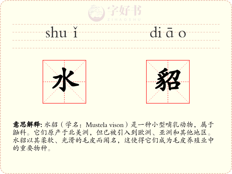 水貂