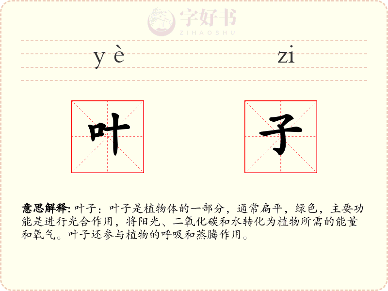 叶子