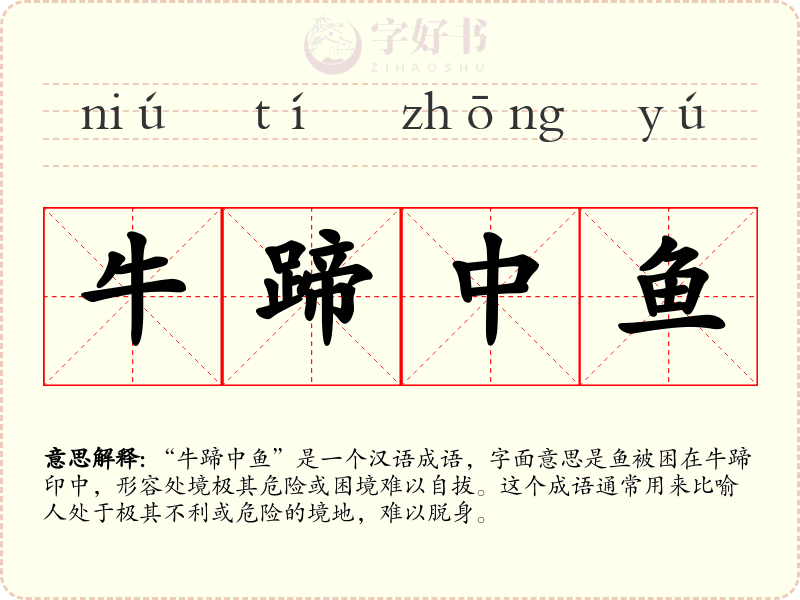 牛蹄中鱼