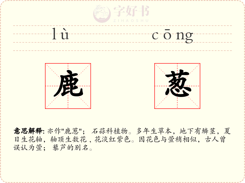 鹿葱