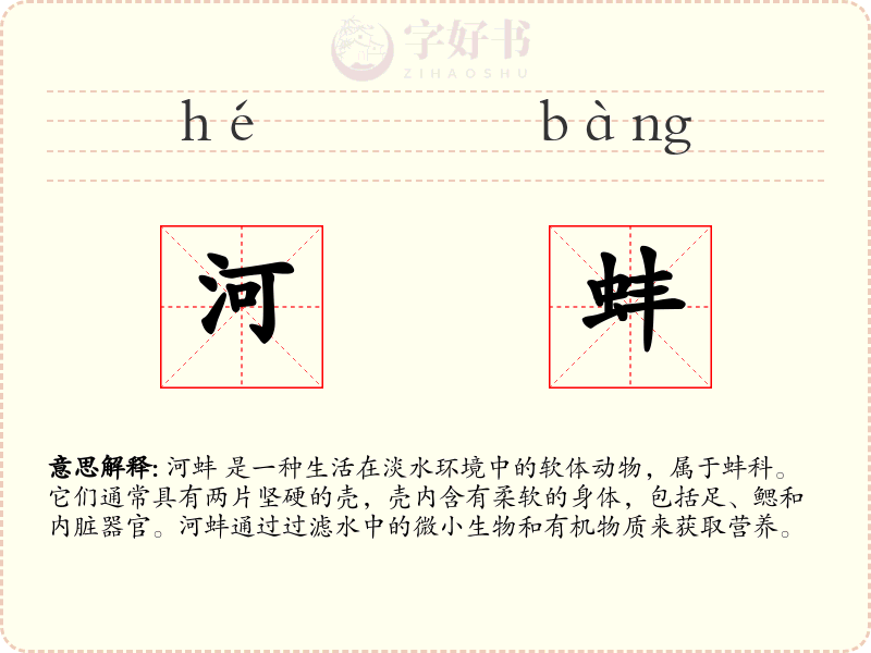 河蚌