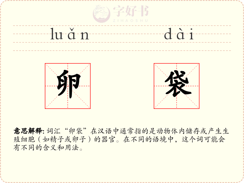 卵袋